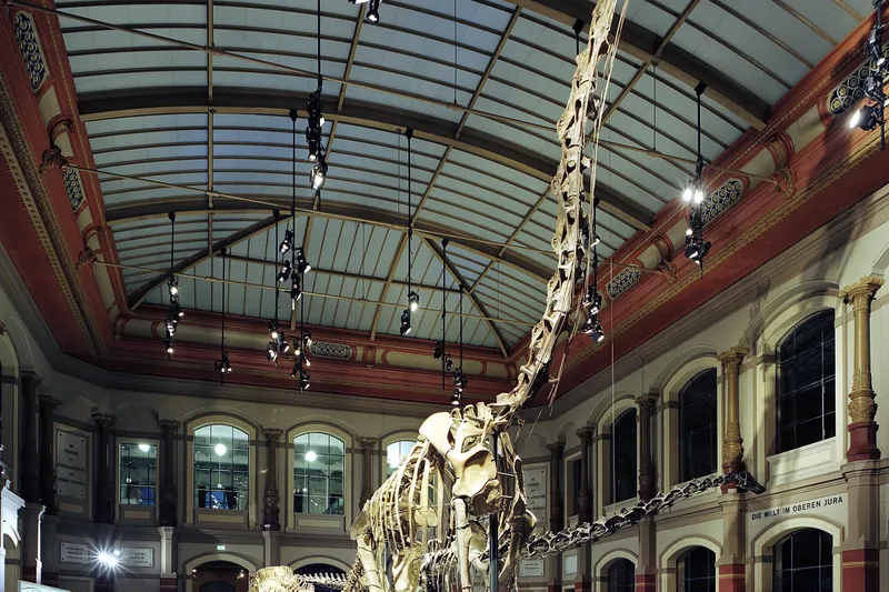 Gallery view of Museum of Natural Study