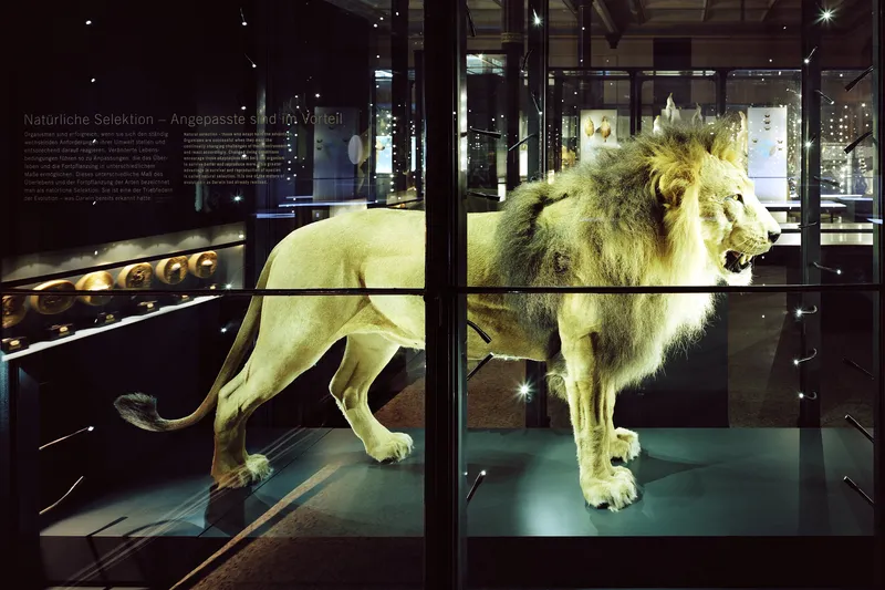 Gallery view of Museum of Natural Study