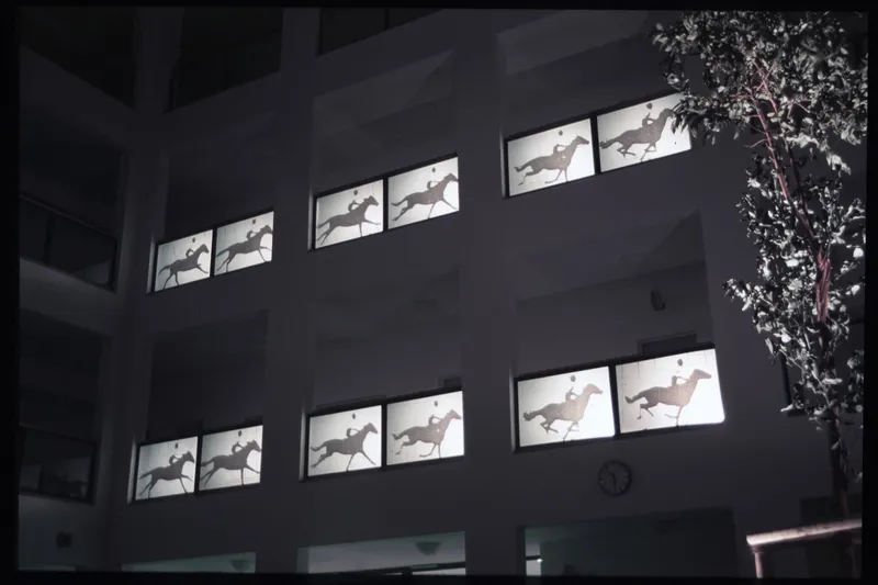 Gallery view of School IDV